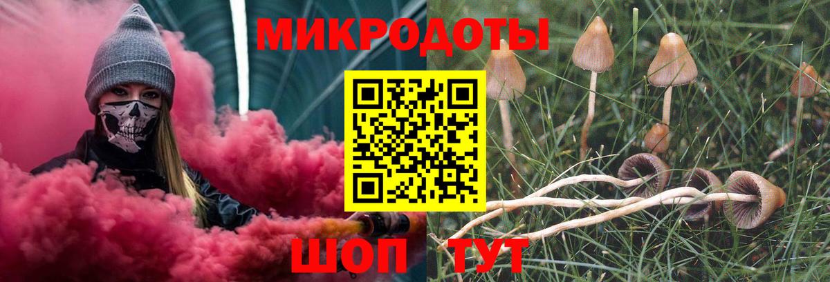 Псилоцибиновые грибы Psilocybine cubensis  Псилоцибиновые грибы ЛСД  Зерноград  Вход с VPN 