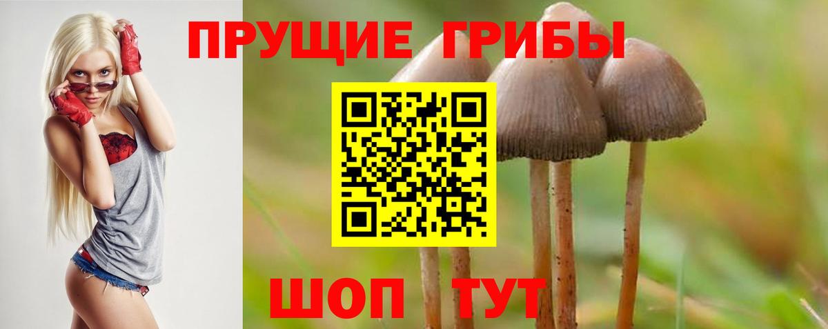 ГАШ  Cocaine  Вход с VPN  Cocaine  Гашиш  ГЕРОИН  Зерноград  Каннабис  Меф МЯУ МЯУ  